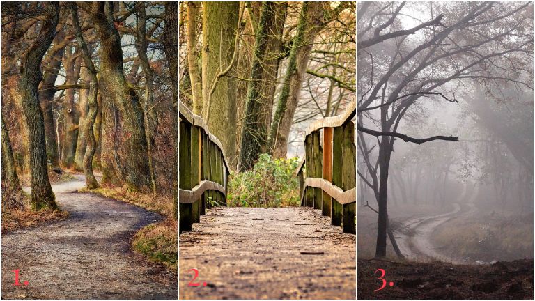 Melyik ösvényen sétálnál végig az ismeretlenbe? (Fotók: Pixabay)