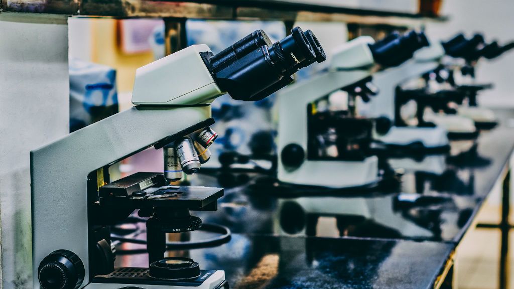 Már Erdélyben is találtak fertőző betegeket / Képünk illusztráció, fotó: Ousa Chea on Unsplash