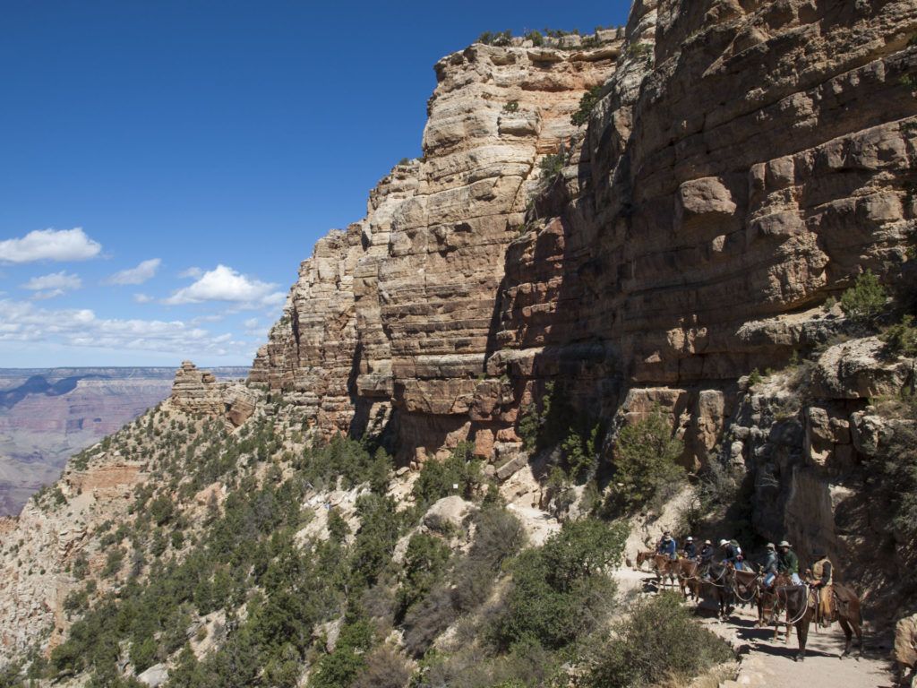 Fotó: Fencsik Tamás