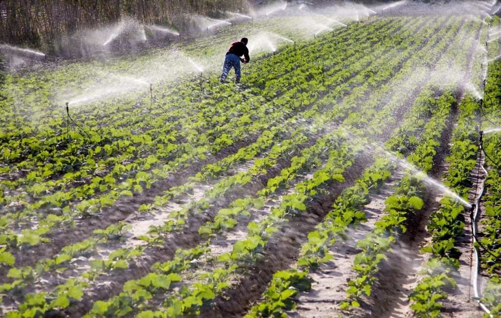 Fotó: Paulo Di Oliviera/Ardea/Profimedia