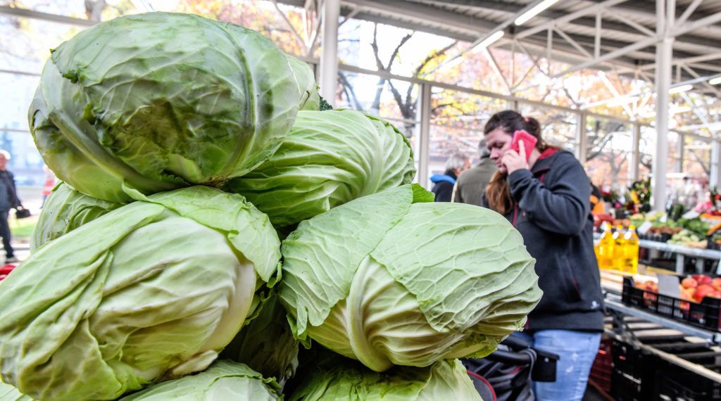 Fotó: MTVA/Bizományosi - Oláh Tibor