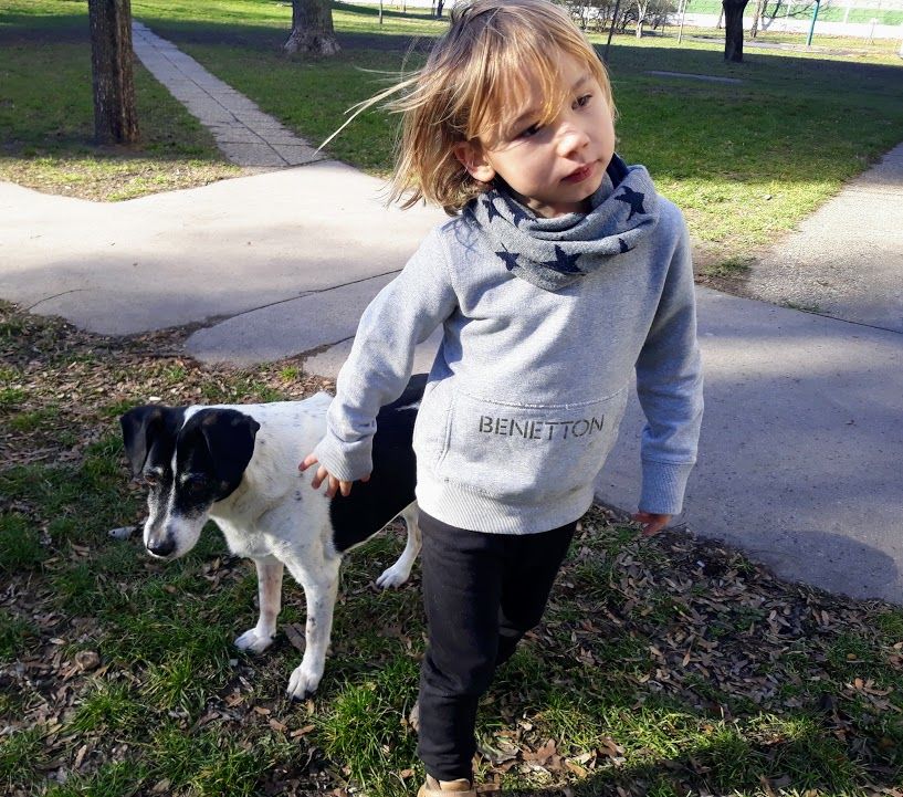 Amikor még lehetett együtt sétálni, mostanában Bingó gyerekek nélkül megy le