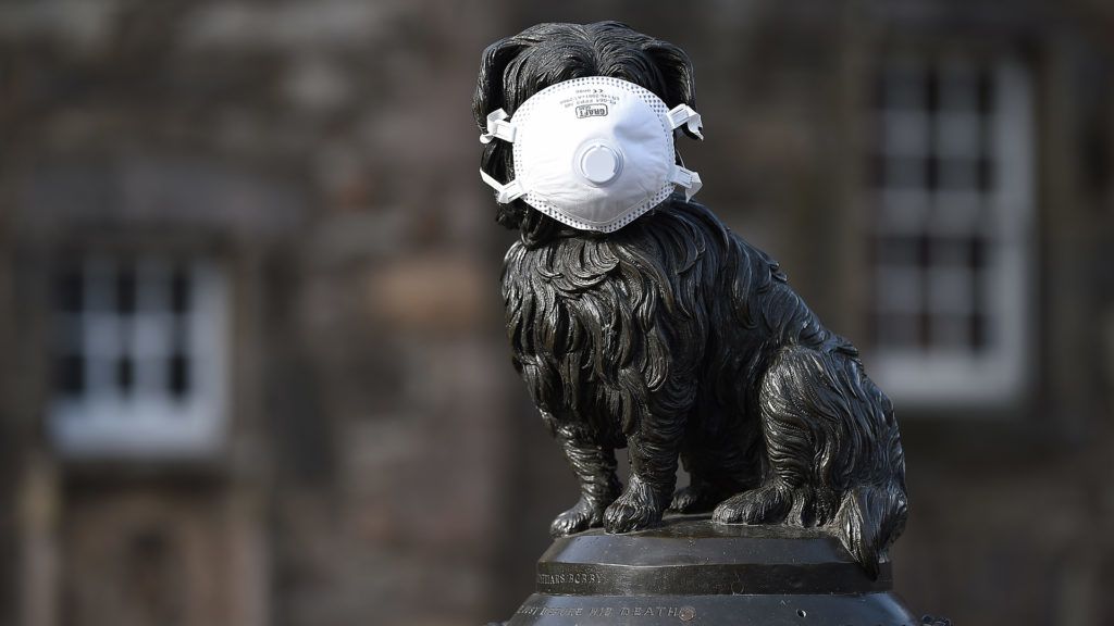 Hong Kongban egy második kutyánál is kimutatták a koronavírus jelenlétét