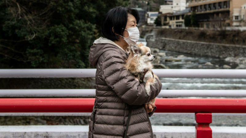 állat ember koronavírus