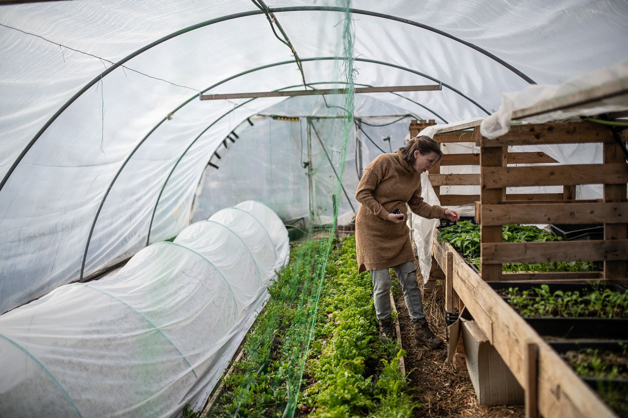 Fotó: Neményi Márton