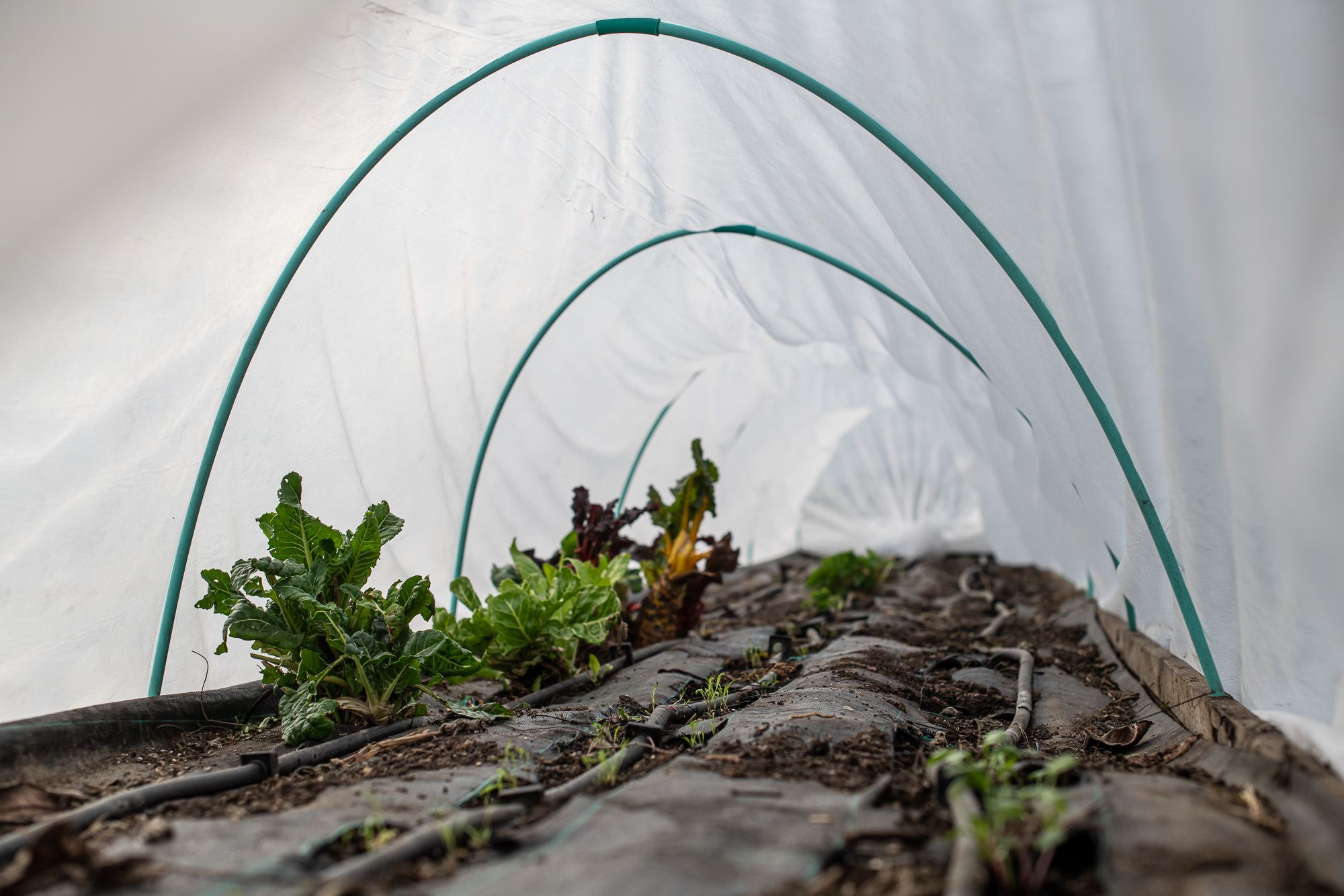 Fotó: Neményi Márton