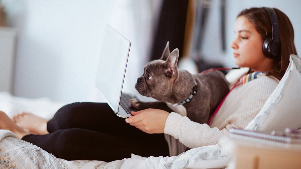 A kamaszokat nehéz lesz offline módban tartani.