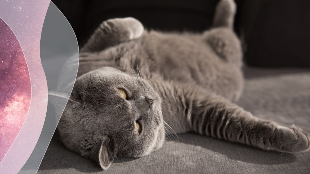 A nyugalom, a higgadtság most a legfontosabb (fotó: Getty)