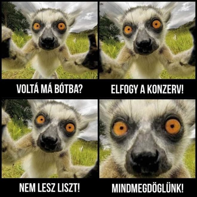 Koronavírus: beindult a mémgyár