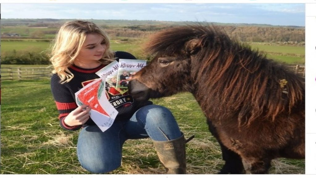 Nemcsak élelmiszert, de jókedvet is oszt a mini póni az angol kisvárosban, ahol a járvány miatt sok idős az otthonában rekedt. Instagram