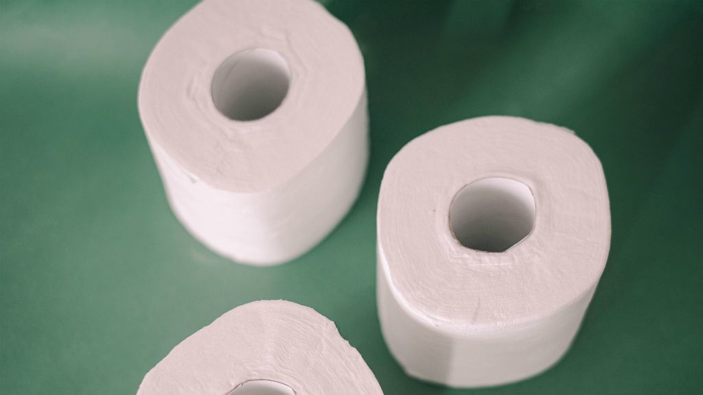 A lányok a fogtündér pénzéből vettek WC-papírt. Fotó: Anna Franques on Unsplash