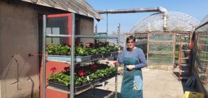 Gabrielláék kertészetébe egyszerre csak egy ember mehet be és becsületkasszába kell tennie a pénzt annak, aki virágot vesz. Így mindenki biztonságosan vásárolhat.