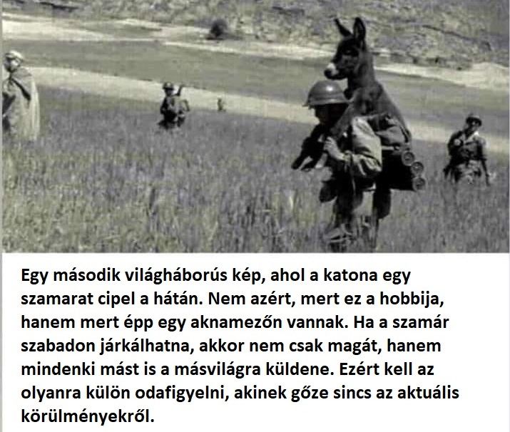 A koronavírus-járvány miatt visszatért Velencébe a hátán szamarat cipelő katona