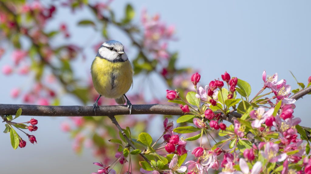 hétvégi időjárás előrejelzés meteorológia
