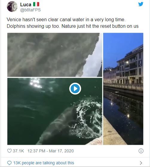 A koronavírus-járvány miatt visszatért Velencébe a hátán szamarat cipelő katona