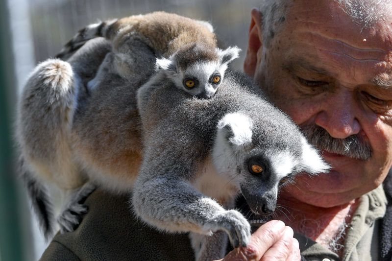 (Fotó:MTI/Czeglédi Zsolt)