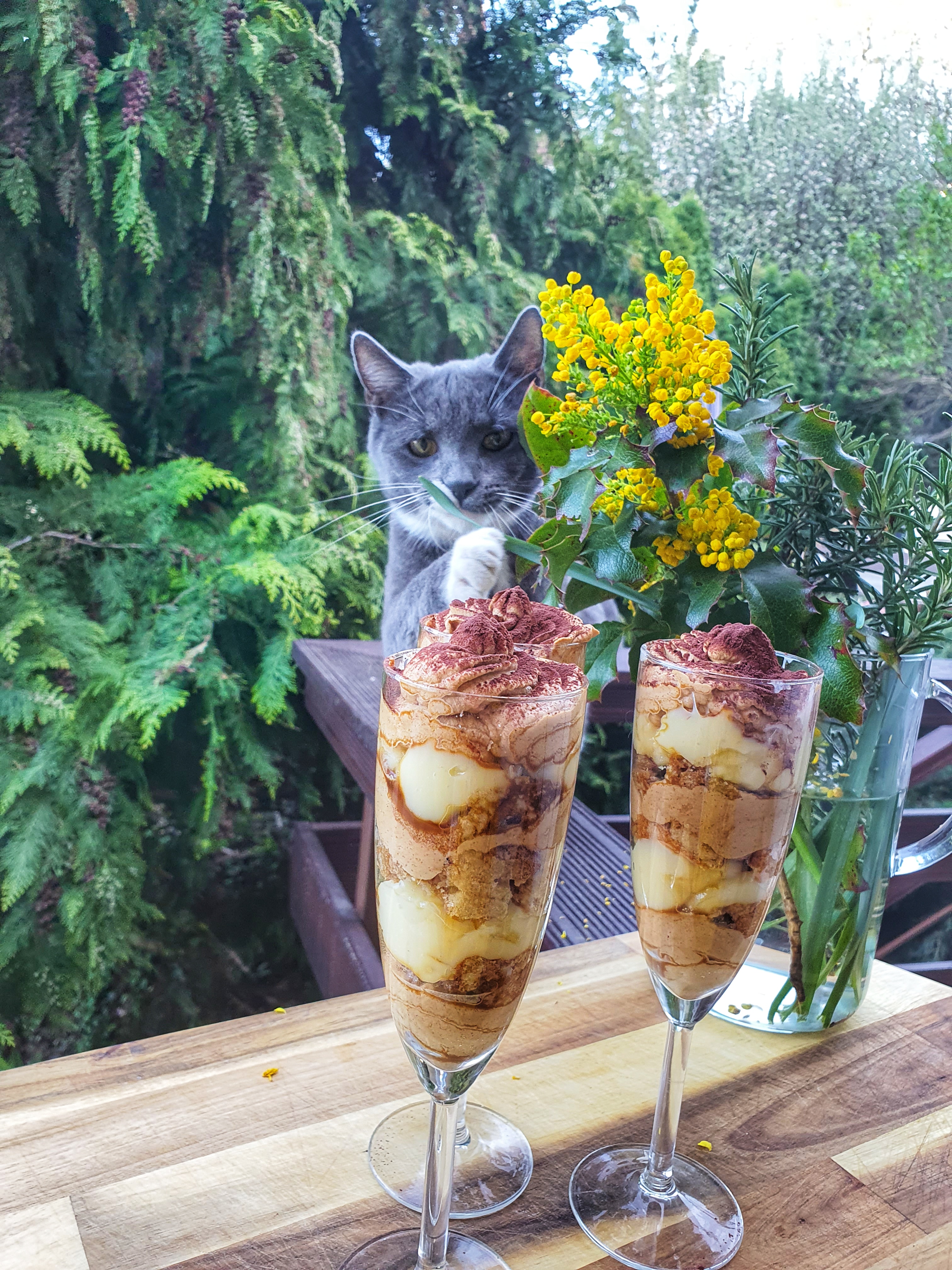 Görgényi Fruzsina tiramusi receptje