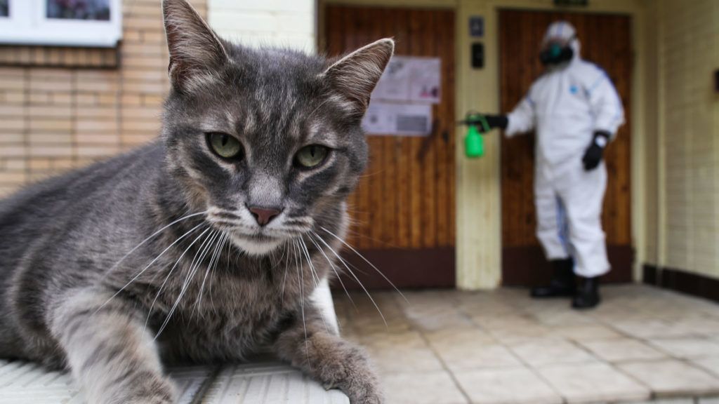Fotó: Sergei BobylevTASS via Getty Images