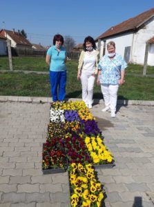 Végül 1000 darab árvácskát kaptak a jászberényi kórház dolgozói.