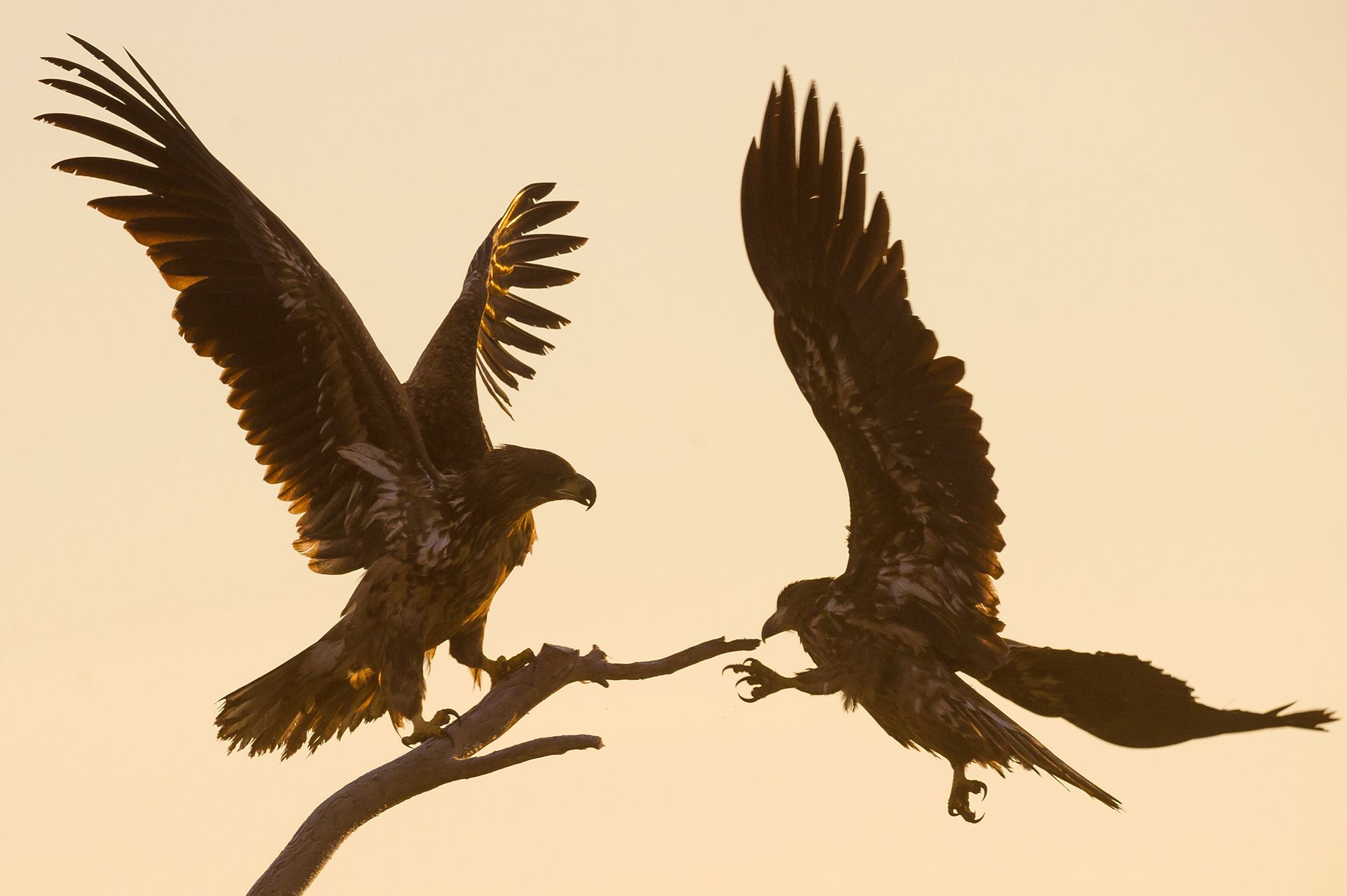 Fotó: MTI/Kovács Attila