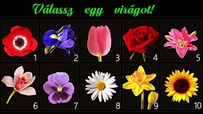 (Fotó: Illúzió Caféblog)