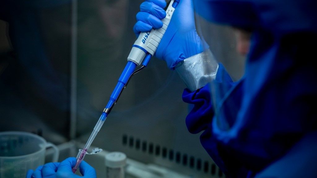 koronavírus, kutatás, adatok, Magyarország,