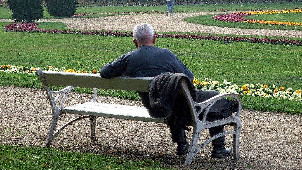 Pad a Margitszigeten