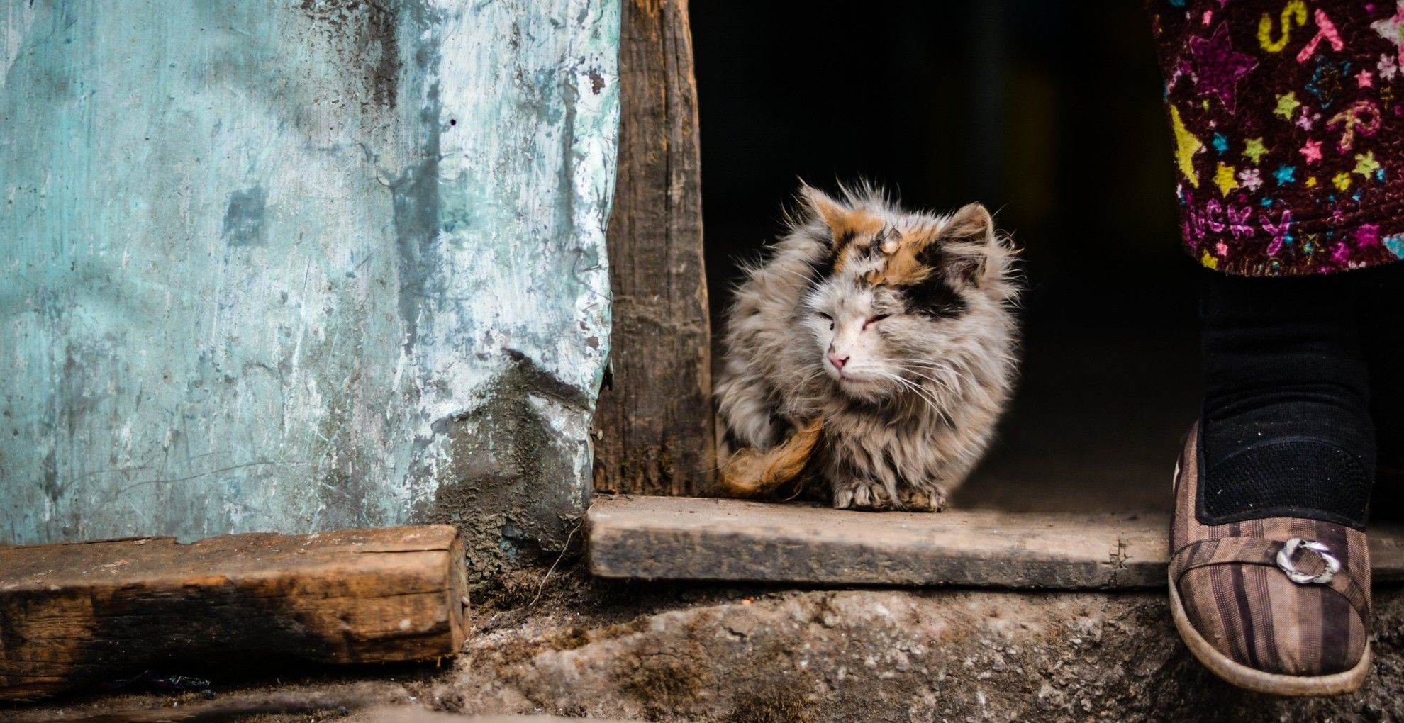 Mirci szombaton tűnt el.