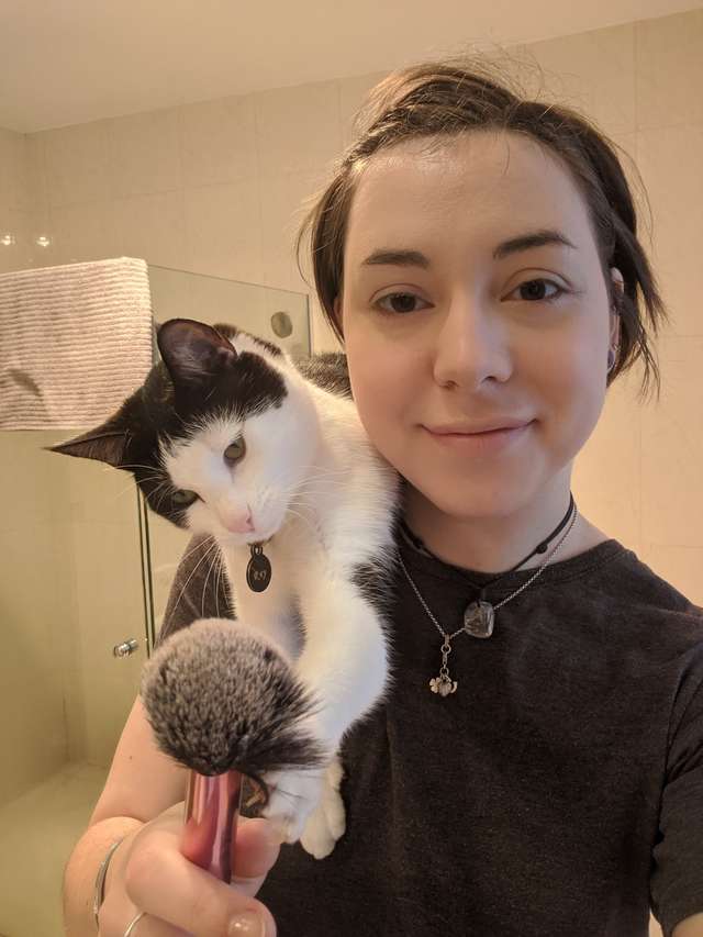 Ez a macska nem barátja a sminkecsetnek.