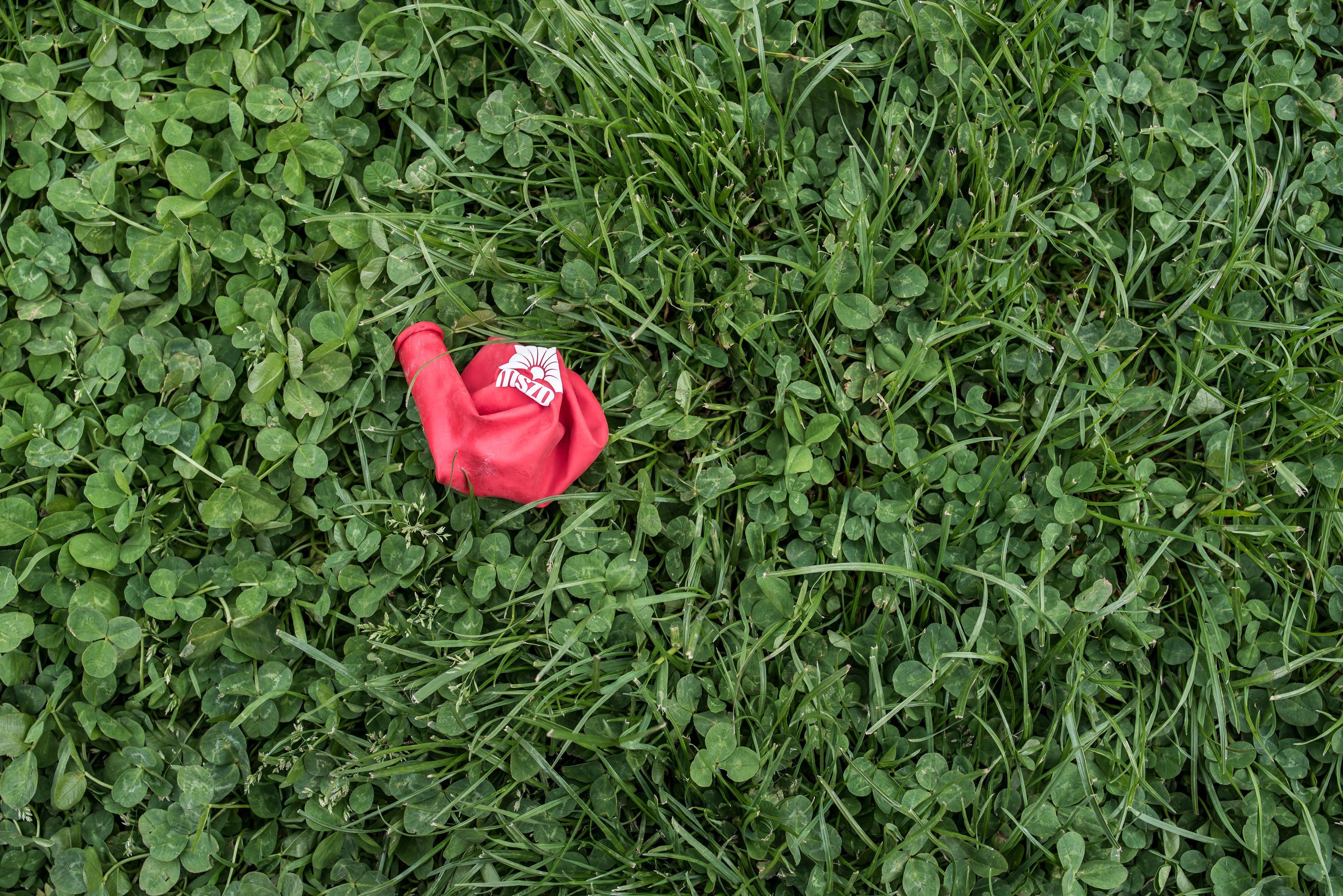 Majális: Május 1. a Városligetben