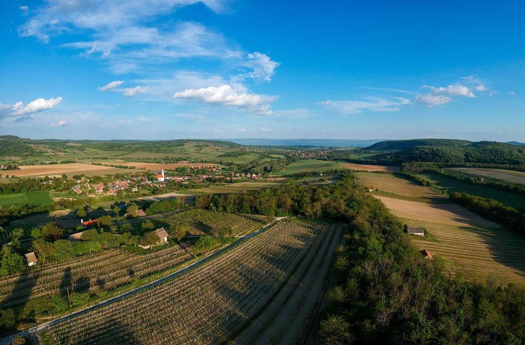 Gyönyörű panoráma nyílik a szőlőhegyről a Balatonra
