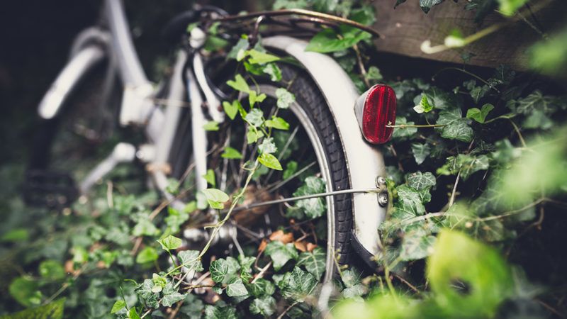 Elhagyatott kertben áll a bicikli