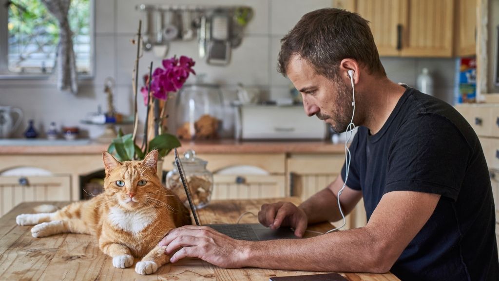 A home office-ban is szükségünk van töltődésre