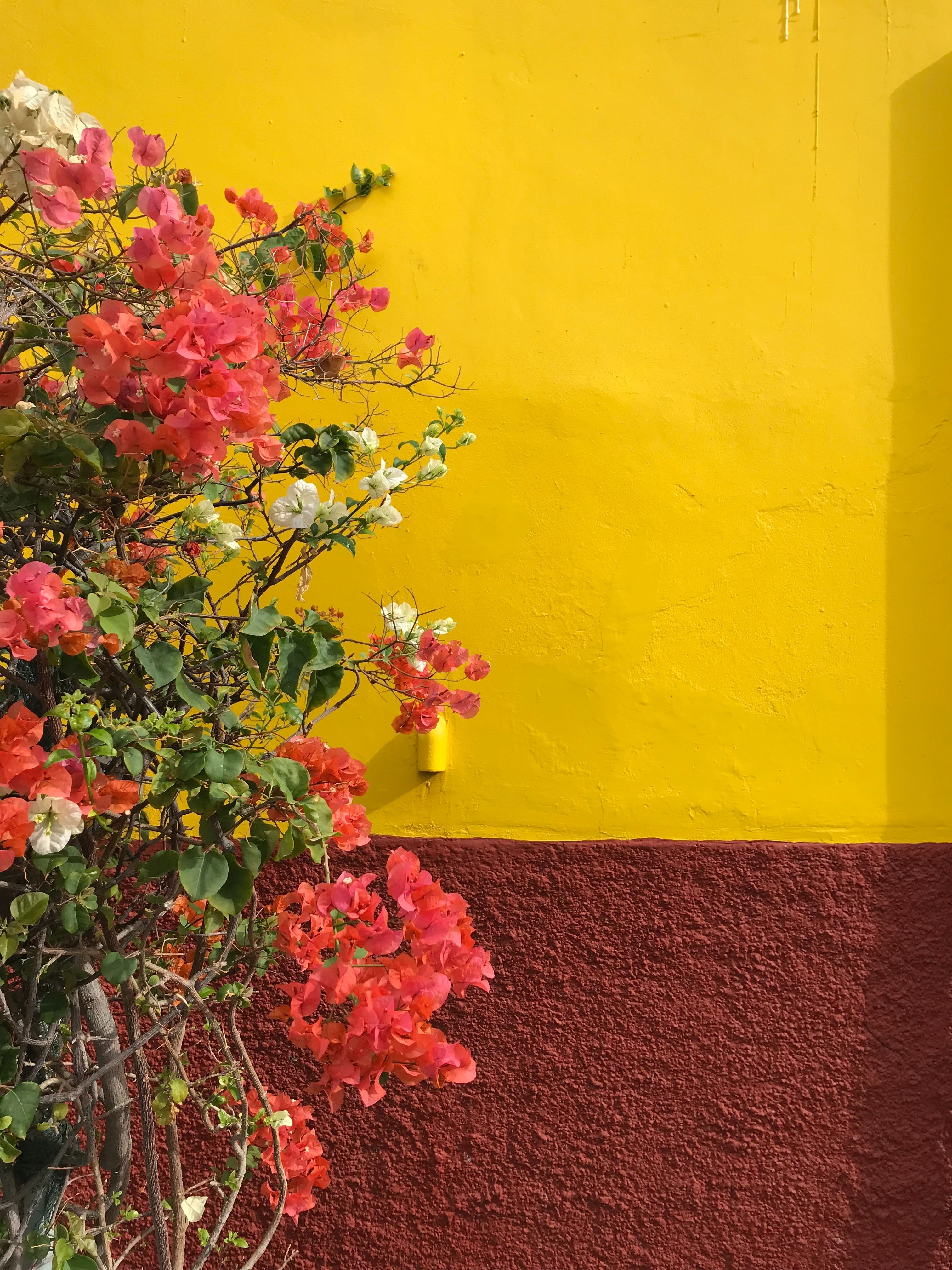 Ha nem éri huzat, boldog.