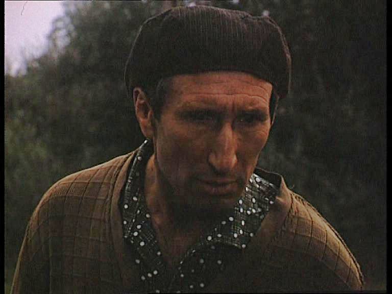 elvarázsolt dollár szilágy istván