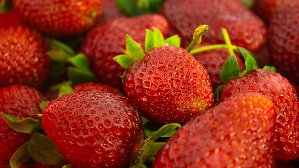 A hazai eper nagyon finom.