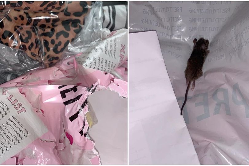 Döglött egér volt a csomagban