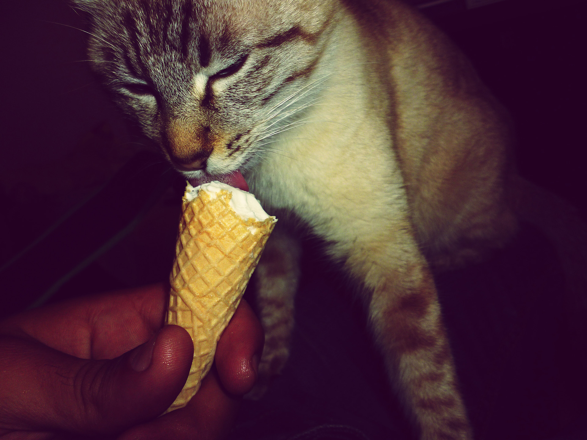 Valószínűleg neki sem lett semmi baja (forrás: Getty Images)