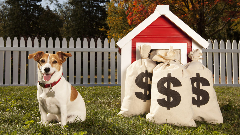 Százmillió forint készpénzt talált a kutya