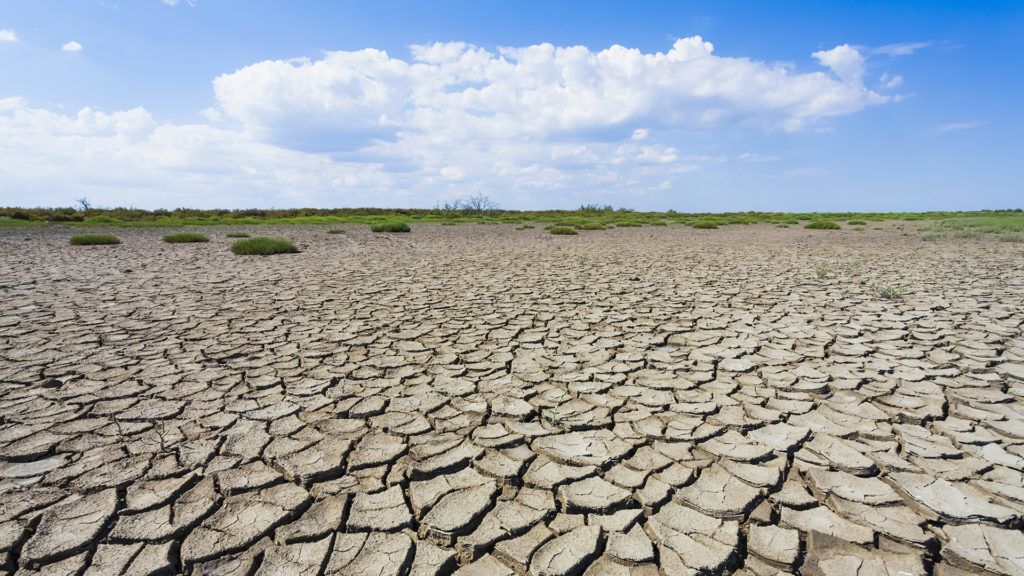 Minden idők egyik legszárazabb tavasza volt az idei