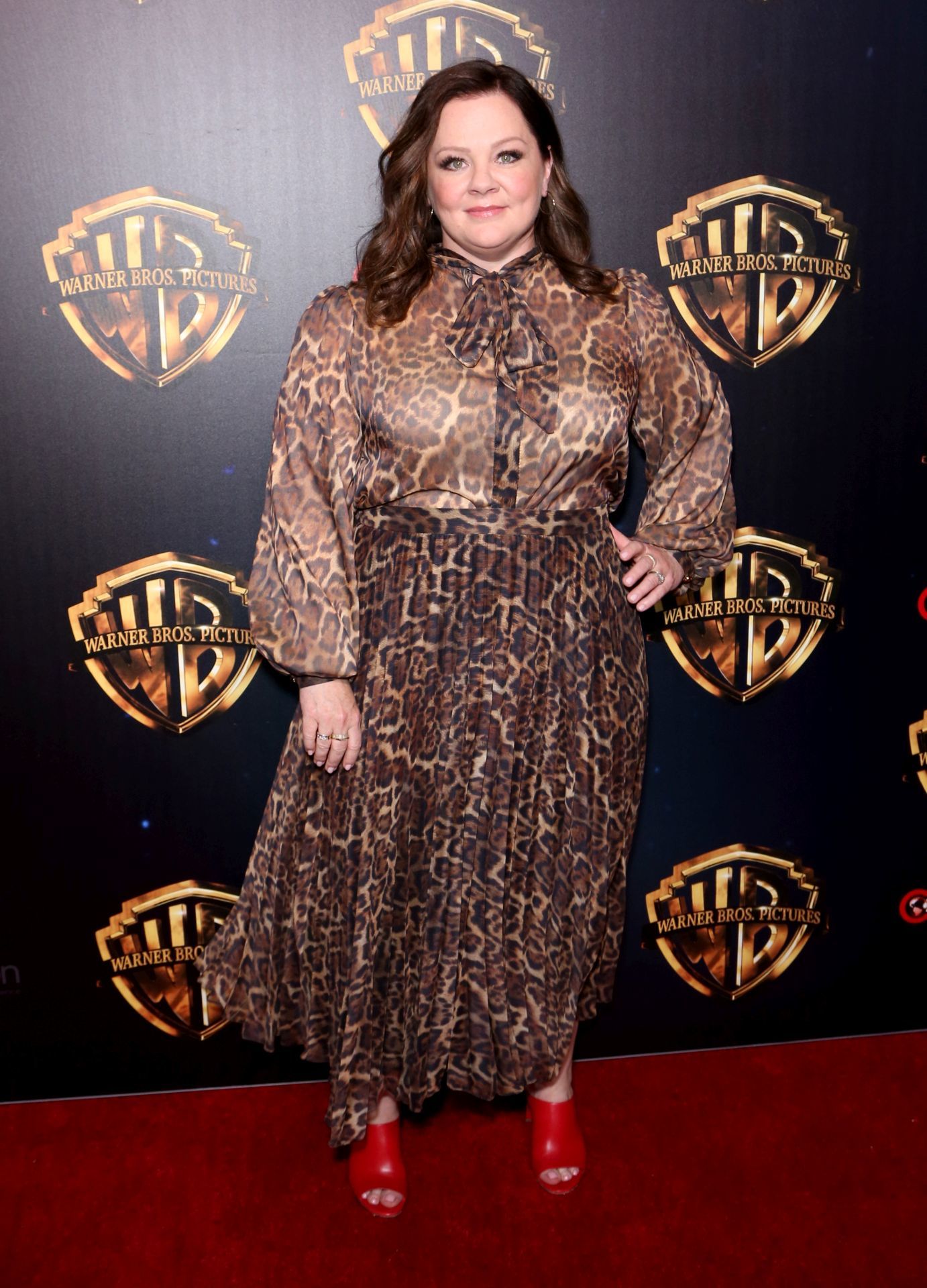 Melissa McCarthy mintás ingruhában