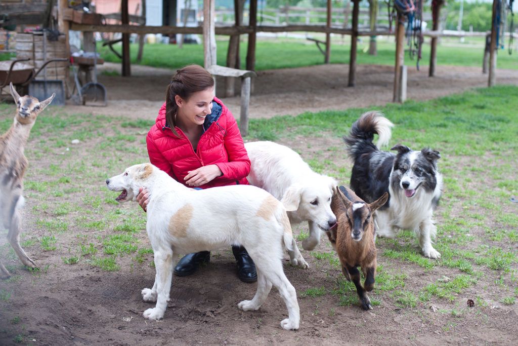 Nádai Anikó a műsor házigazdája