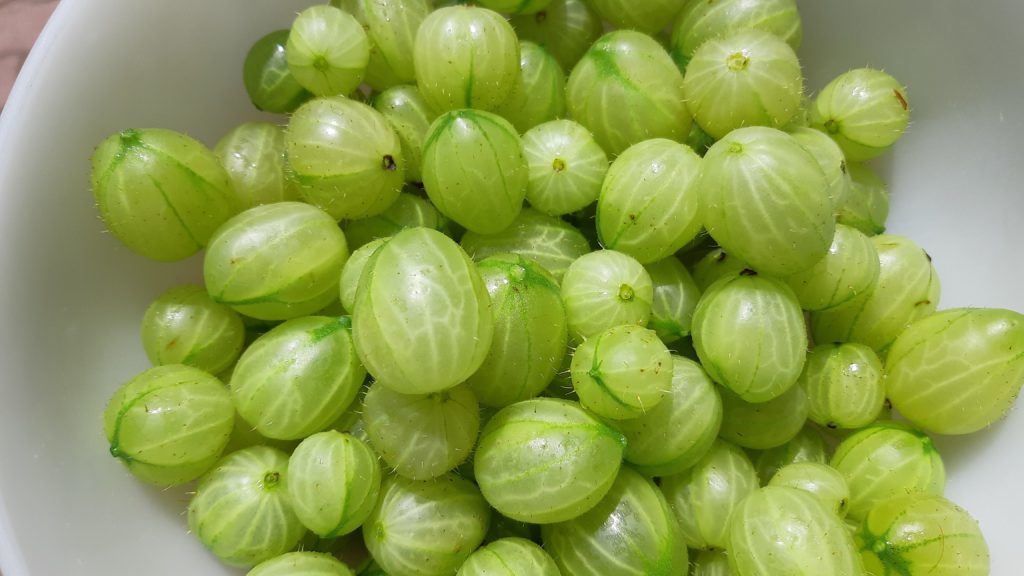 Egy tál piszke vagy egres