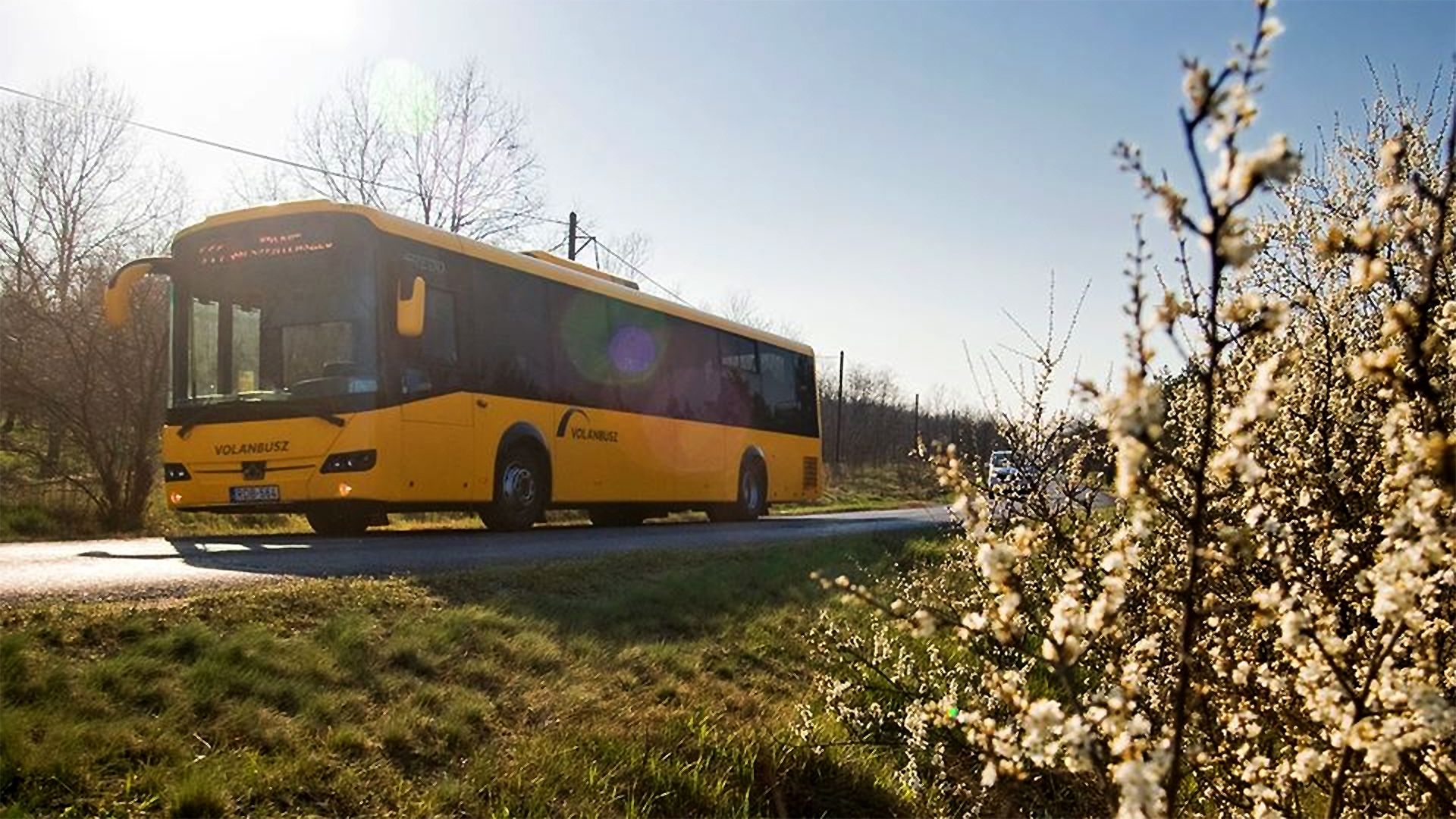 Eltörölték a létszámkorlátot a Volánbusz járatain