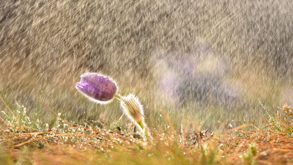 Változékony időjárásra számíthatunk a hétvégén