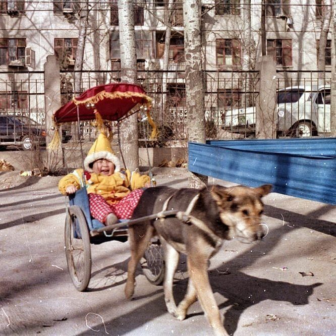 Egymillió bizonyítékunk van arra, hogy Kína a világ legizgalmasabb országa