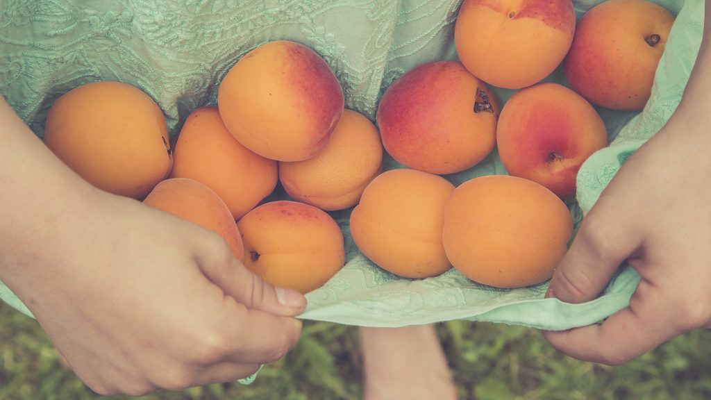 Sárgabarackos lepény recept a caféblogról