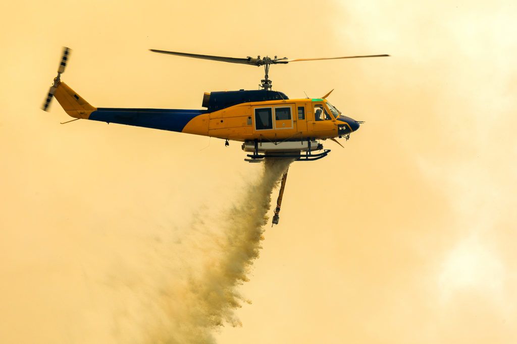 Kiderült, mekkora pusztítást végeztek az ausztrál erdőtüzek