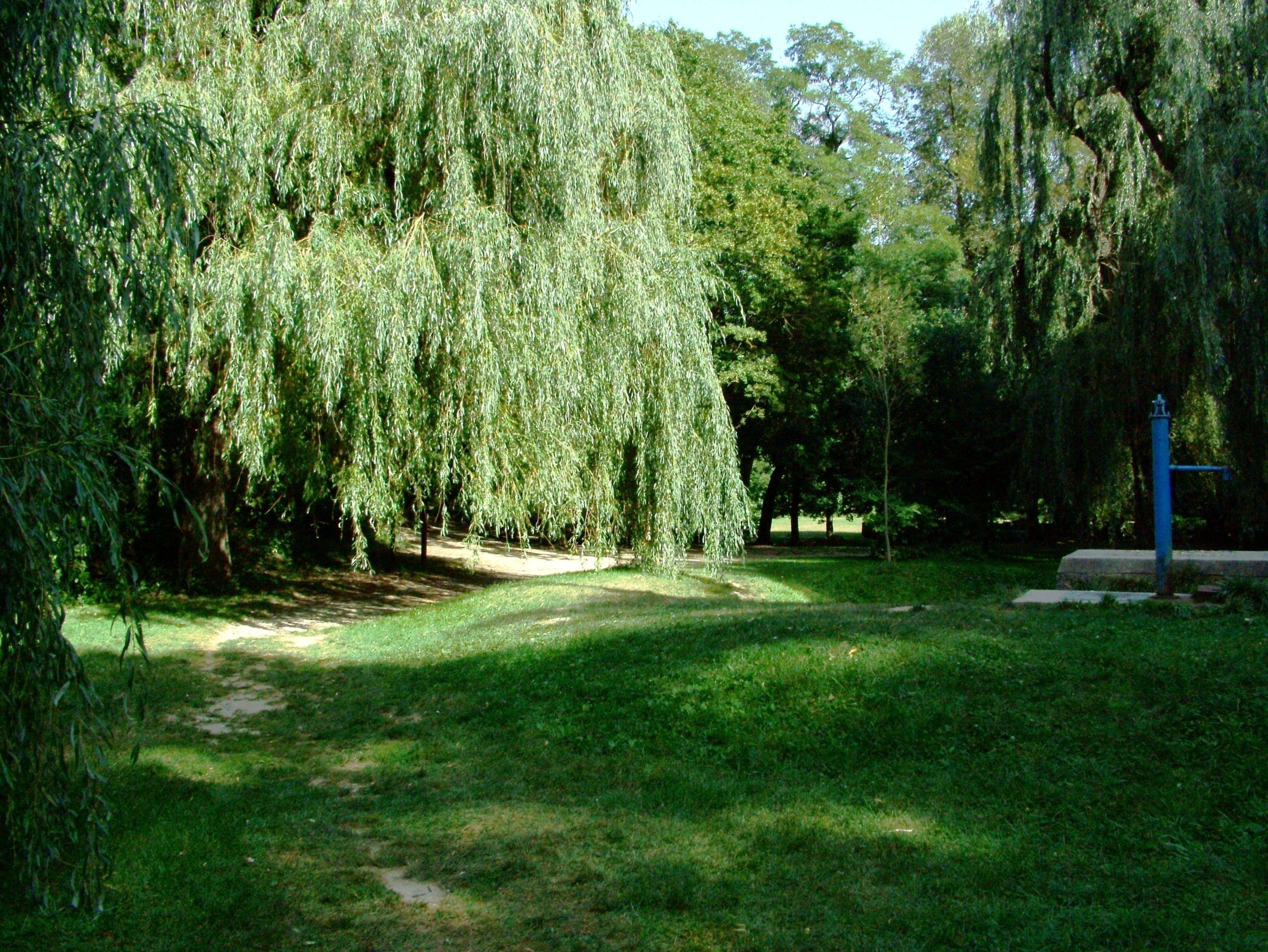 A Balaton-felvidéki Nemzeti Park csodálatos hely
