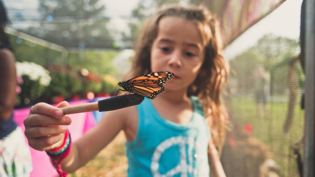 Fura kérdőíveket kell kitölteni az Erzsébet-tábor gyerekeinek